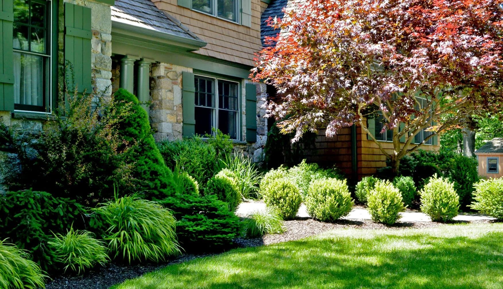 Tree & Shrub Planting Services in Kentwood, MI