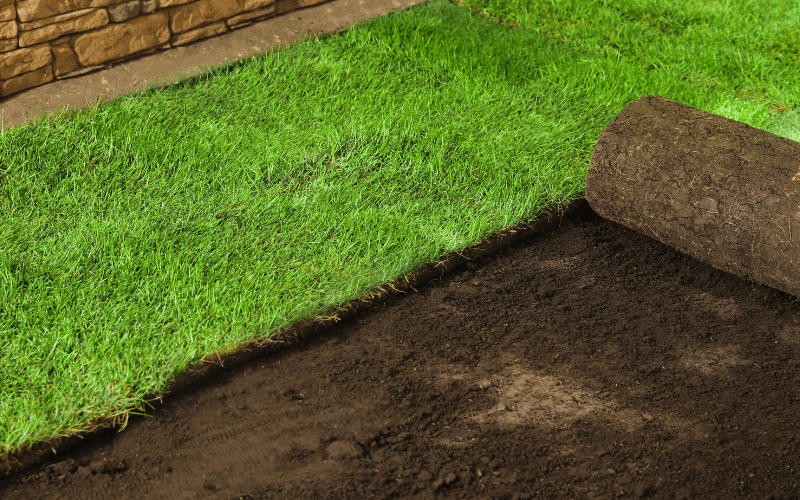 Sod Installation Services in Kentwood, MI